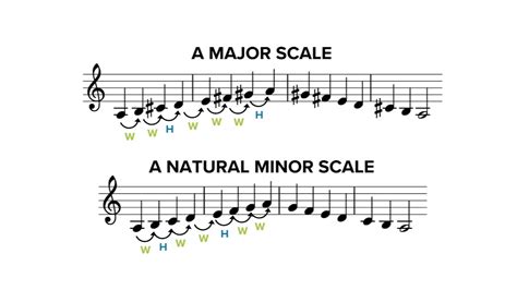 What is the Difference between Major and Minor Music: A Delicate Exploration of Tones and Emotions